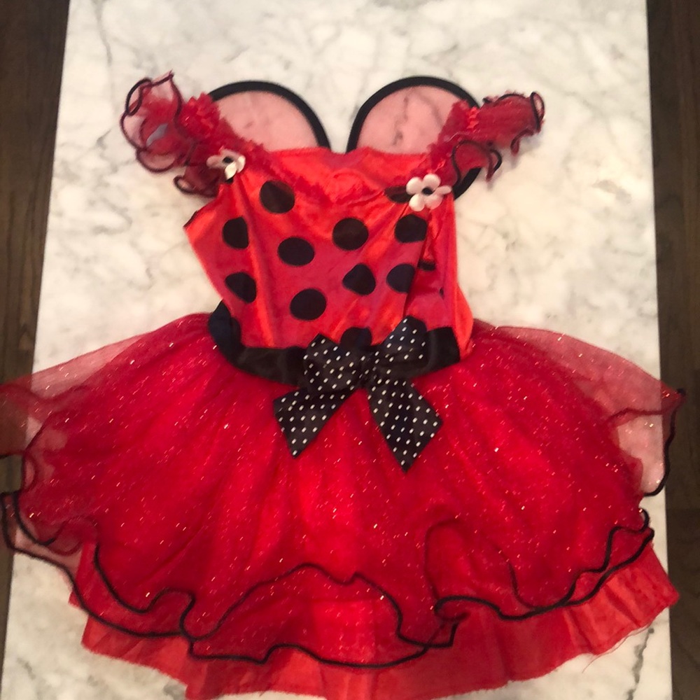 Ladybug costume